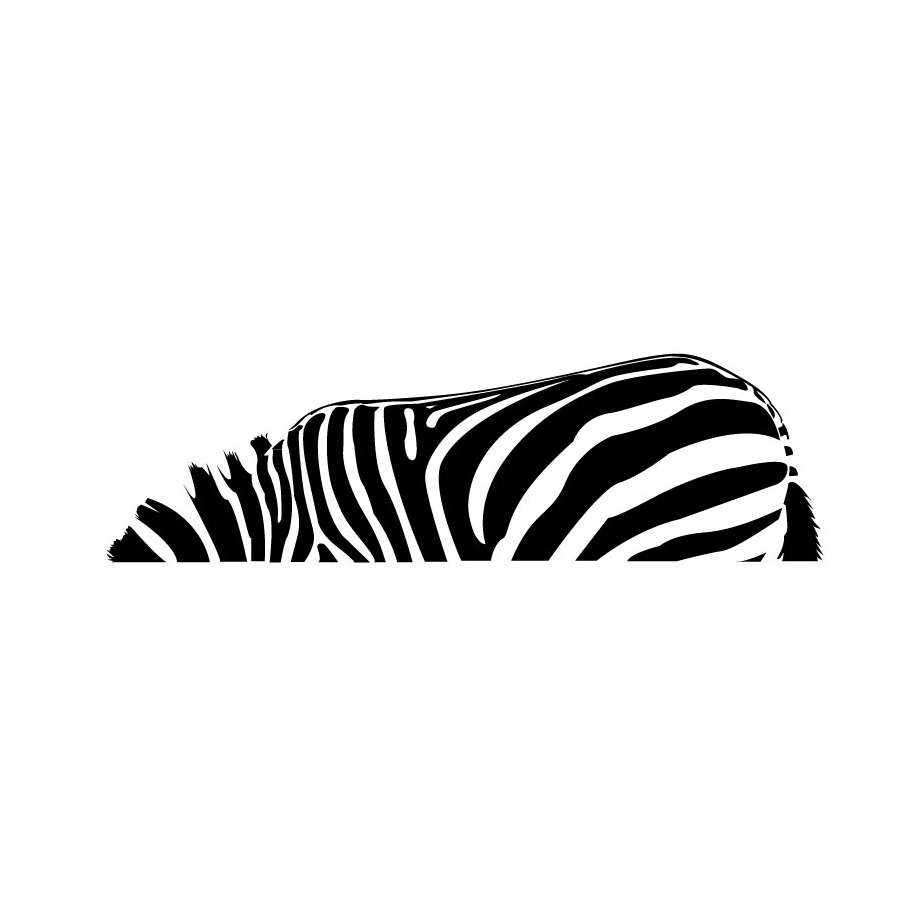 Wandaufkleber Wanddekor Zebra